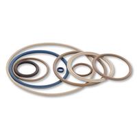 Molded D-Ring & O-Ring Gaskets